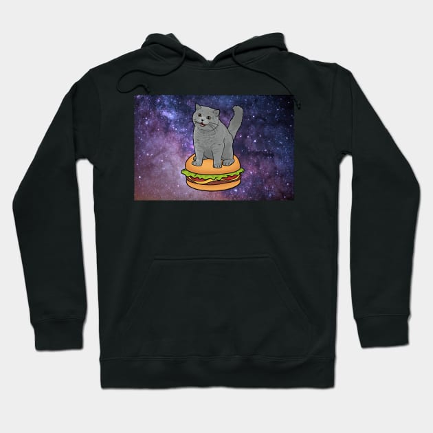 I CAN HAS CHEEZBURGER chubby meme cat in space Hoodie by sivelobanova